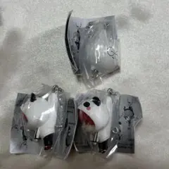 CR つまんでつなげてますこっと Rion Jasper チェーン