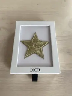 DIOR ピンバッジ