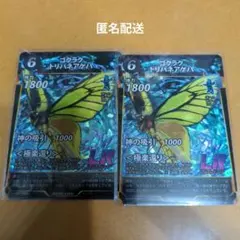 蟲神器　ゴクラクトリバネアゲハ２枚