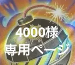 4000様　専用ページ　まとめ売り