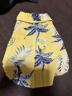 Item thumbnail for item 25101bd5-f8e0-46df-9534-a54b4455581b