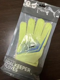 Item thumbnail for item 8c9a94d6-aaf6-4f52-bcaa-e65e83372d58