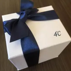 4℃エターナルシルバーペアリング