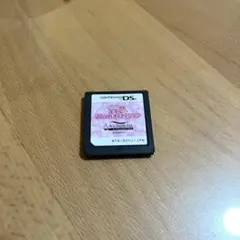 nicola監修 モデル☆おしゃれオーディション DSソフト　ケース無し