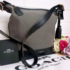 極美品☆COACHコーチ ショルダーバッグ ブラック 格子柄 キャンバス 