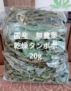 沖縄県やんばる産マジックリーフ 60g 20〜25枚入 UV殺菌灯照射済み⑦