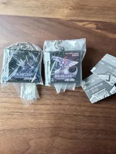 ポケットモンスター パッケージ&ゲームカードキーホルダーコレクション　ダイパ