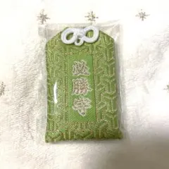 Item thumbnail for item 3bc5e8b0-abbe-44a2-bed6-7ee82cfb1bc8