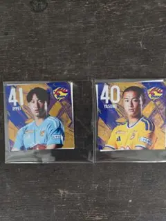 ベガルタ仙台 ホログラムステッカー