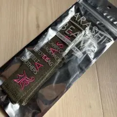 Y*様 【美品】嵐を旅する展覧会 ラゲッジタグ ラゲッジマーク　緑