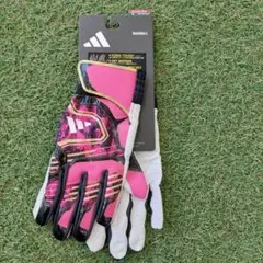 Item thumbnail for item a91f2d86-33af-4670-9991-2e0ee4d736a3