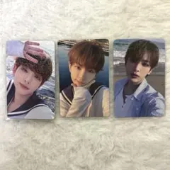 &TEAM HARUA ハルア 青嵐 トレカ 3枚セット