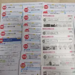 カラーテスト 社会 理科 算数 光文書院 ５年生のサムネイル