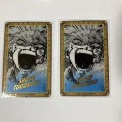 僕のヒーローアカデミア 轟焦凍 箔押しクリアカード