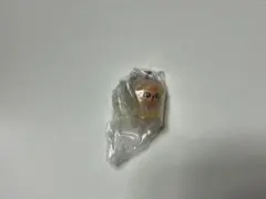 Stray Kids SKZOO めじるしアクセサリー　パピーム　スンミン