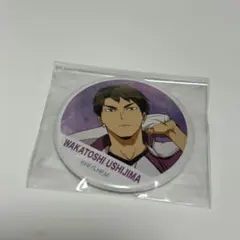 2026年最新】ハイキュー牛島若利の人気アイテム - メルカリ