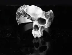 Item thumbnail for item b7b3bd1f-4ee3-4d2c-8b12-f2e24e908a47