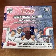 TOKYOシリーズ2025 MLB プレミアムラウンジ 完品 ドジャース カブス