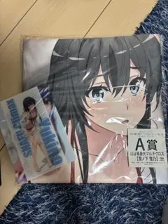【非売品】俺ガイル きゃらっとくじ 当たり A4アクリルプレート 雪ノ下雪乃 俺ガイル 雪乃 きゃらっとくじmini A4アクリルプレート 超希少