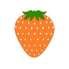 ＊むむちゃん＊様 専用