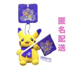サンフレッチェ ポケモンセンターヒロシマ マスコット ピカチュウ 広島 ポケモン