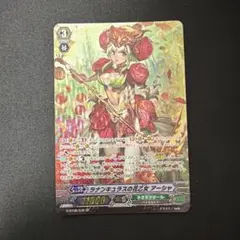 ラナンキュラスの花乙女 アーシャ SP