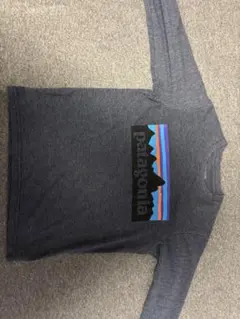 patagonia グレー 長袖カットソー xs