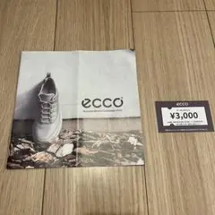 ecoo 3,000円クーポンチケット10/21〜11/30 ながの東急百貨店
