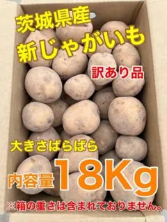 無農薬】 千葉県産 新じゃがいも インカのめざめ 8kg - メルカリ