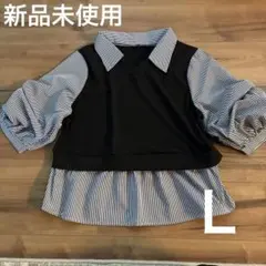 ストライプ切替ブラウス ブラック Lサイズのサムネイル