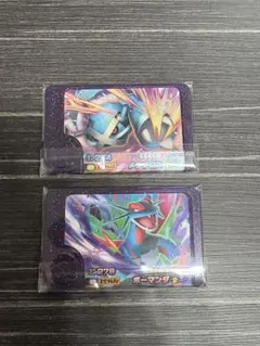 ポケモンフレンダ　メタグロス　ボーマンダ