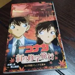 名探偵コナン 紅の修学旅行
