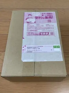 ポケセン産 ニンジャスピナー BOX シュリンク付き