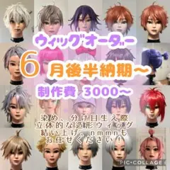 ♡コスプレ ウィッグオーダー♡ - メルカリ