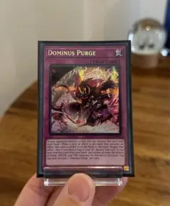 聖王の粉砕 ドミナスパージ プリシク