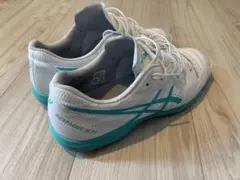 Item thumbnail for item 32a36fda-9bae-4709-a873-08c1096f6c59