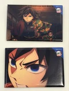 鬼滅の刃 冨岡義勇 全方位コレクション 缶バッジ 2種セット　劇場版