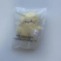 Straykids スキズ　ペンミ　マイクロキーリング　ポガリ skzoo