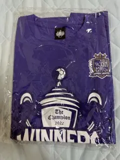 Item thumbnail for item 7fd4c723-b4bf-4d2a-9065-2514f991dd43