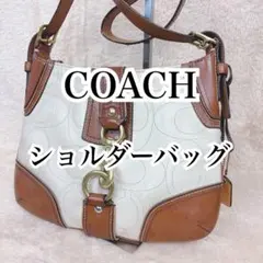 【希少・良品】COACH ハンプトンズ ショルダーバッグ レザー シグネチャー