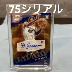 Item thumbnail for item f8b29856-3224-4c77-859e-9f009dad8ebb