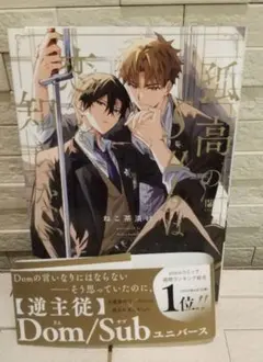 孤高のsubは恋を知らない 即購入⭕ 美品 BL漫画