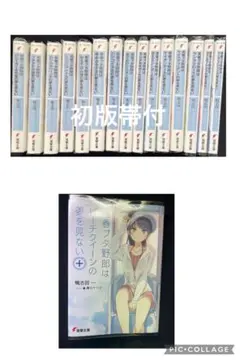 青春ブタ野郎シリーズ　初版帯付