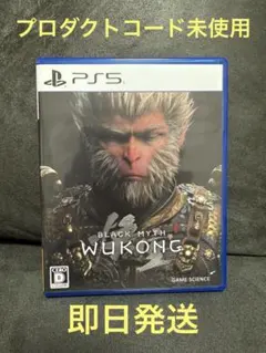 BLACK MYTH WUKONG PS5 黒神話 悟空