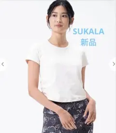 Item thumbnail for item 7c24fc12-3a6c-4d77-9ba7-e44de0ea5677