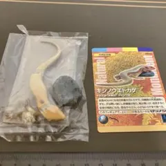 2026年最新】週刊日本の天然記念物の人気アイテム - メルカリ