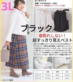 中綿 ダウンベスト