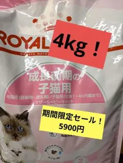 マザーキャット ロイヤルカナン FHN マザー&ベビーキャット（子猫・母猫用） 【送料