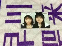 元乃木坂46 元櫻坂46 桜井玲香 菅井友香 ポストカード「BUBKA」 - メルカリ