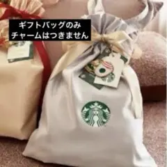 スターバックス　ホリデー　ギフトバッグ(シルバー)